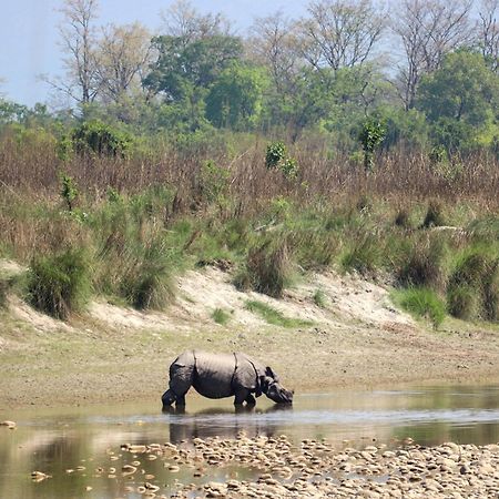 Forest Hideaway Resort Pvt Ltd Bardiya Exterior foto