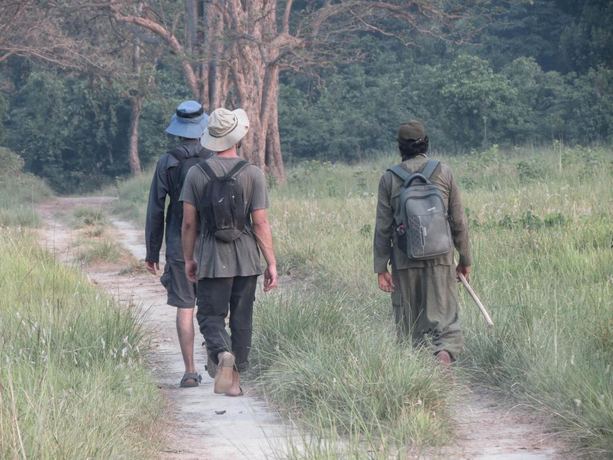 Forest Hideaway Resort Pvt Ltd Bardiya Exterior foto