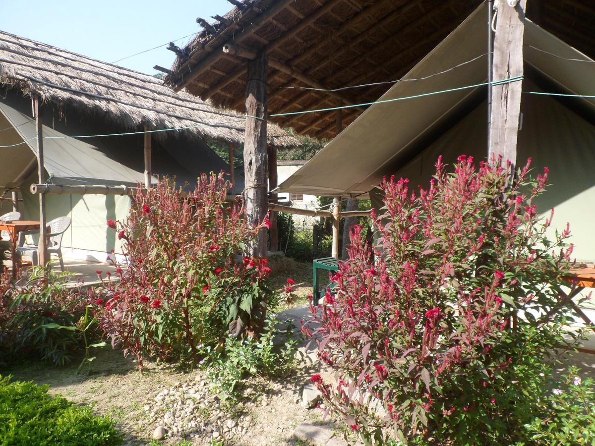 Forest Hideaway Resort Pvt Ltd Bardiya Exterior foto